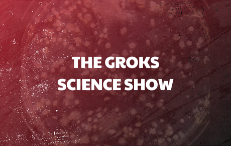 The Groks Science Show
