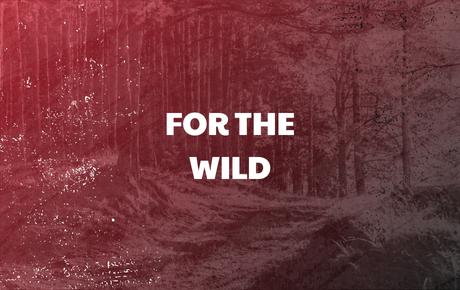 For the Wild